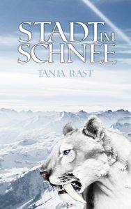 Stadt im Schnee